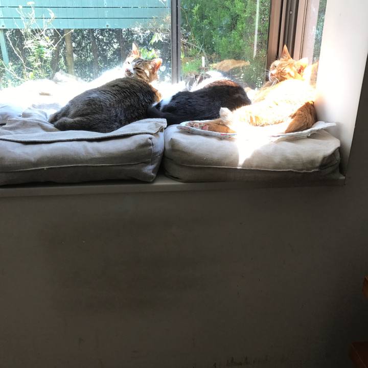 A84b6d42 f027 437f b340 21bf68c43b16