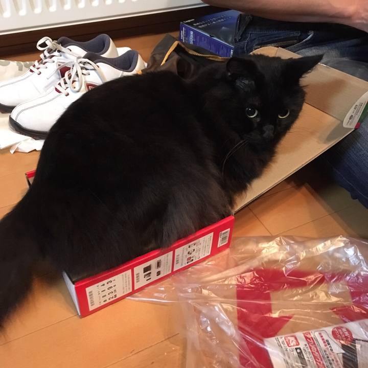 A84b976c ac9a 4cf9 9fb8 1be55be4101a