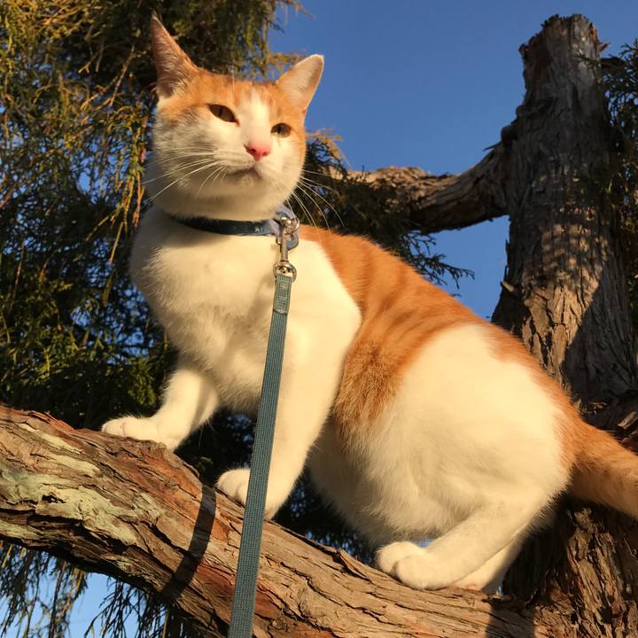 A84c3303 bd5e 4f53 a81c bb6df8d6dc6f