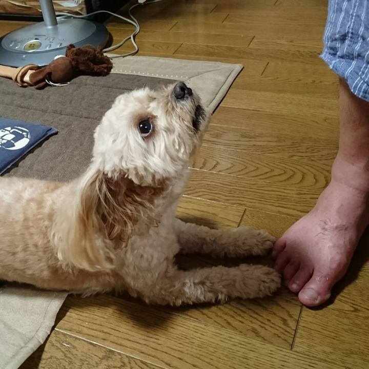 A84d59d1 2ce0 4138 81dd f99356e826fc