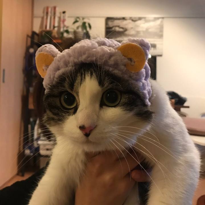 A84d75a8 87e0 46d3 94b0 7551bd5715e0