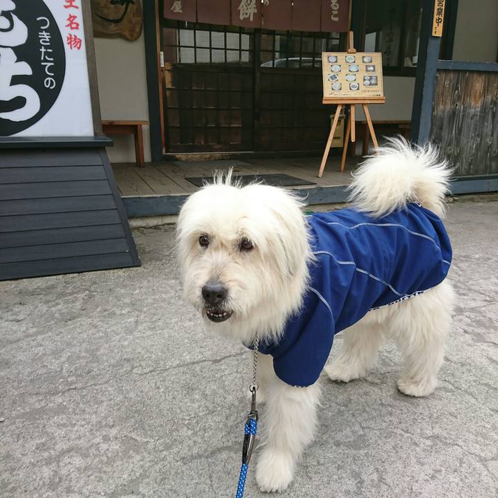 A84e2a50 ab72 48eb 8d61 015a266edfdc