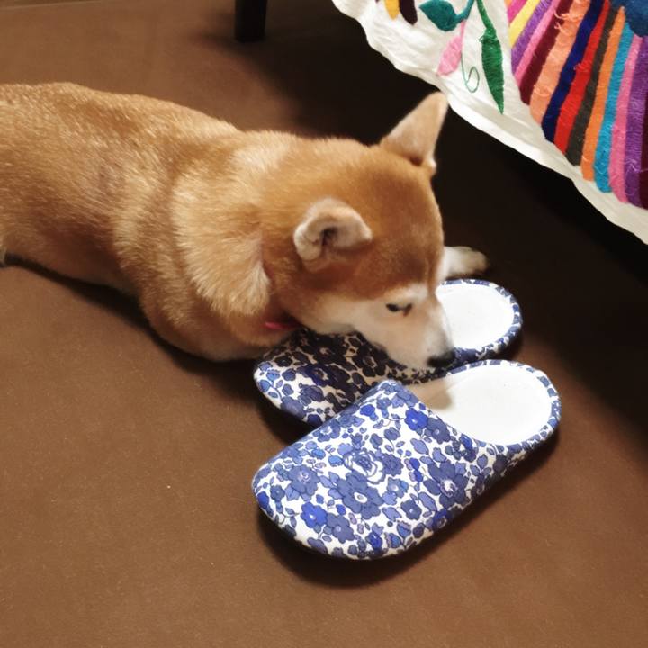 A84e4cc0 d017 42c2 8277 70922c2bfeeb