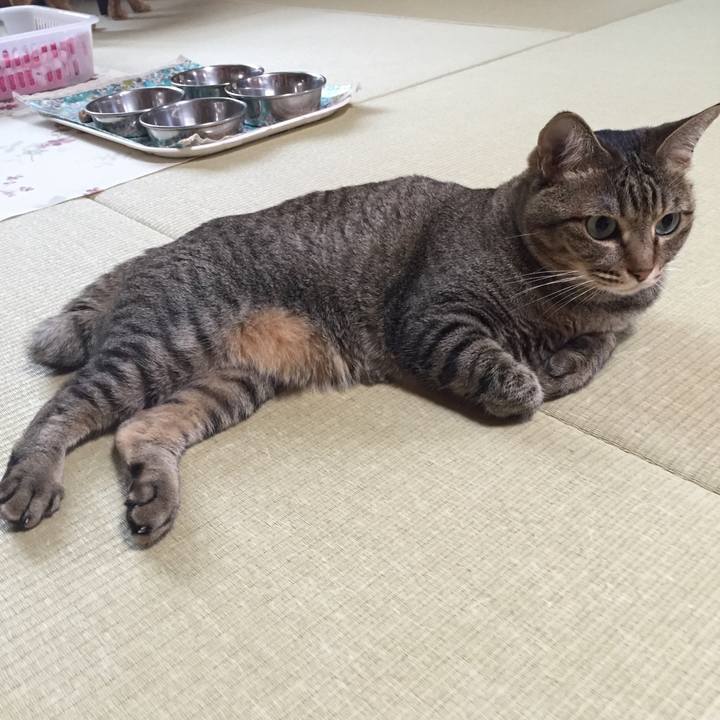 A84e78da 82ca 434a b779 848aa10c9e56