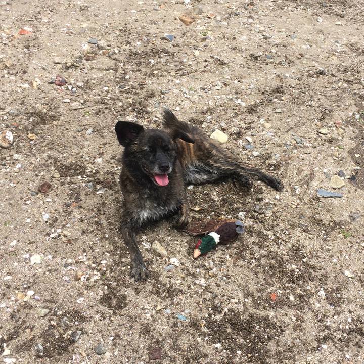 A84efbda ecd7 4860 ade9 8a27fab3230e