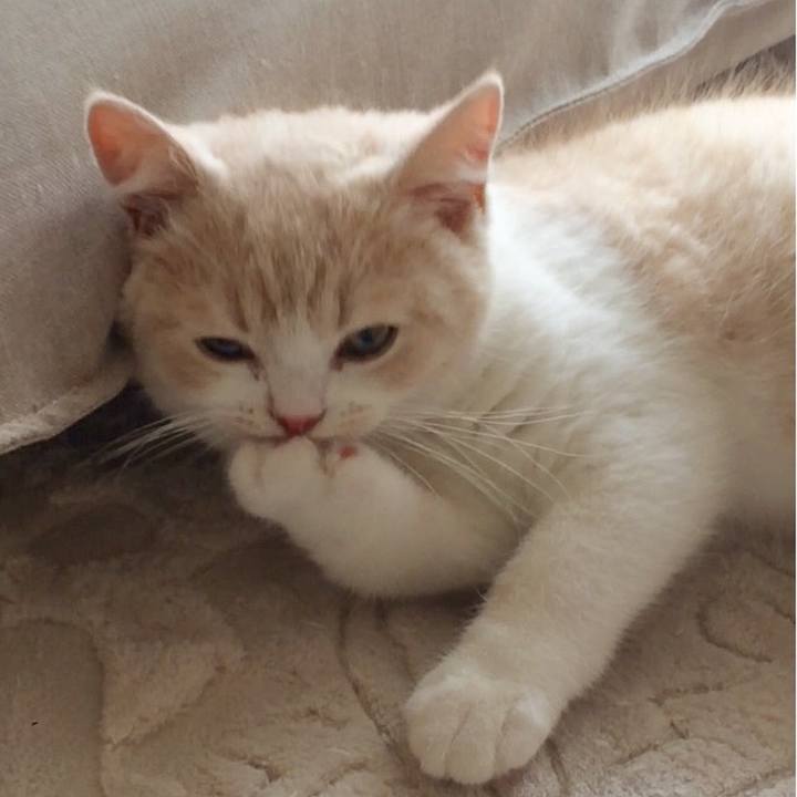 A84f3e47 94d2 4d7b 8dc2 704f8f421be0