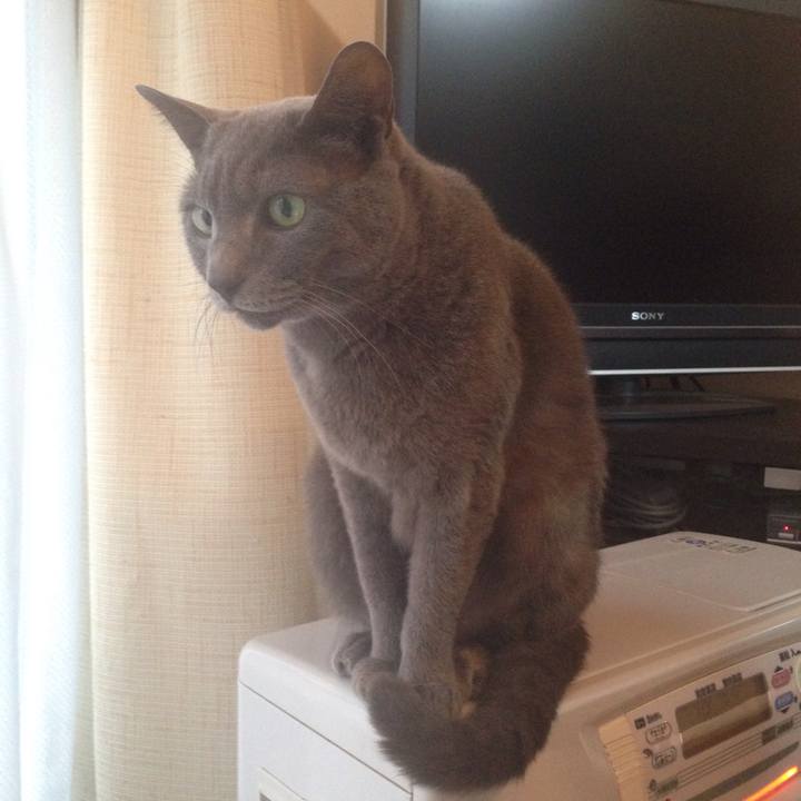 A84f73df 8fbe 428e 8618 18d40d29db61