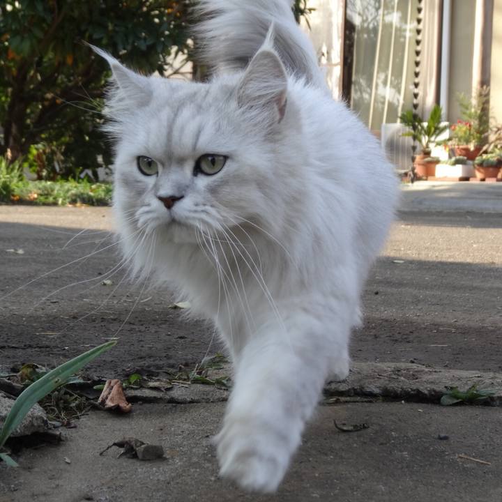 A84f9826 4f91 496b ae2e e78579aa346f