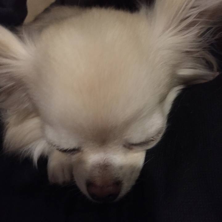 A84fcab0 8d0e 41ae a2f8 23c63cb31824