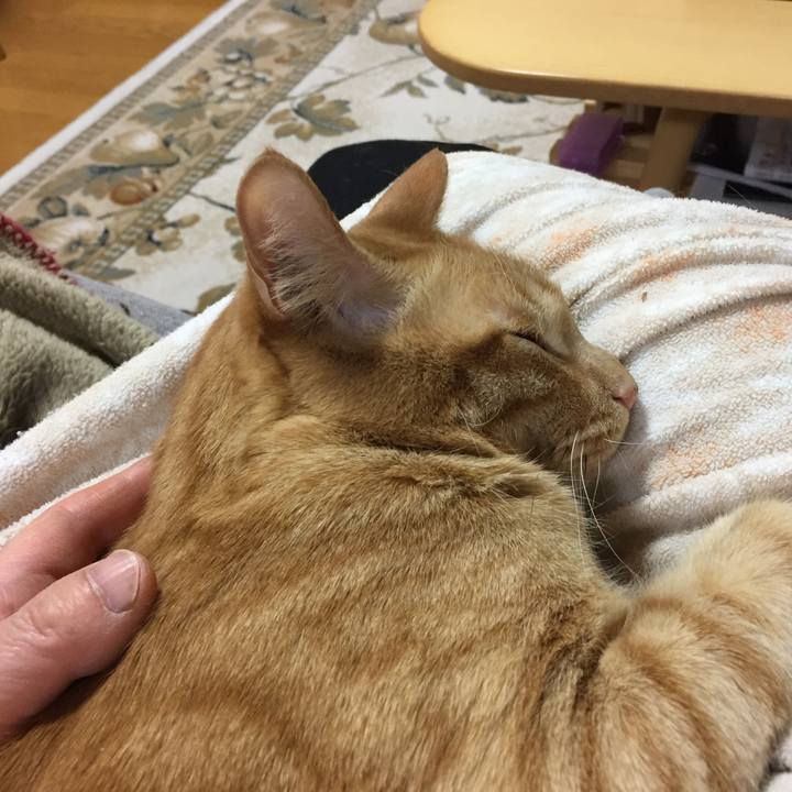 A8500813 d8c8 4420 a26b 7d4a815f649e