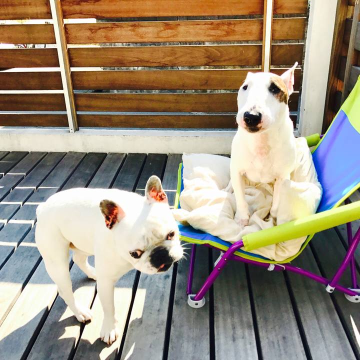 A8504147 14b8 4e0c 9190 001bea16a82b