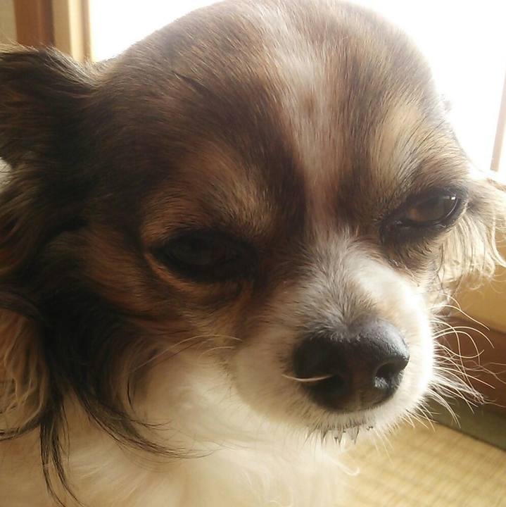 A85046d2 ffd1 465e 98a8 c52d1e1d55df