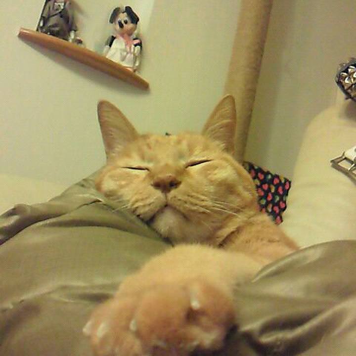 A850ca12 c72d 4095 8f3c 18b1e1234765