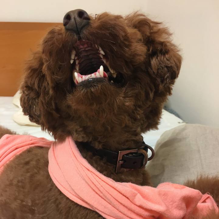 A85160f4 f5aa 4b4d 96c1 612467755a9d