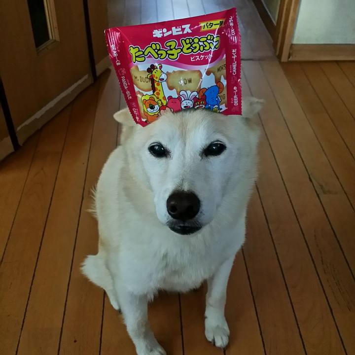 A85238d3 ea56 41d8 b575 9c275782fd73