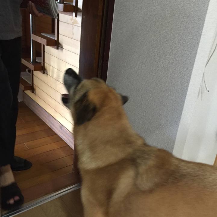 A852adbc 65f8 4d66 9d9b 585d0cb298c8