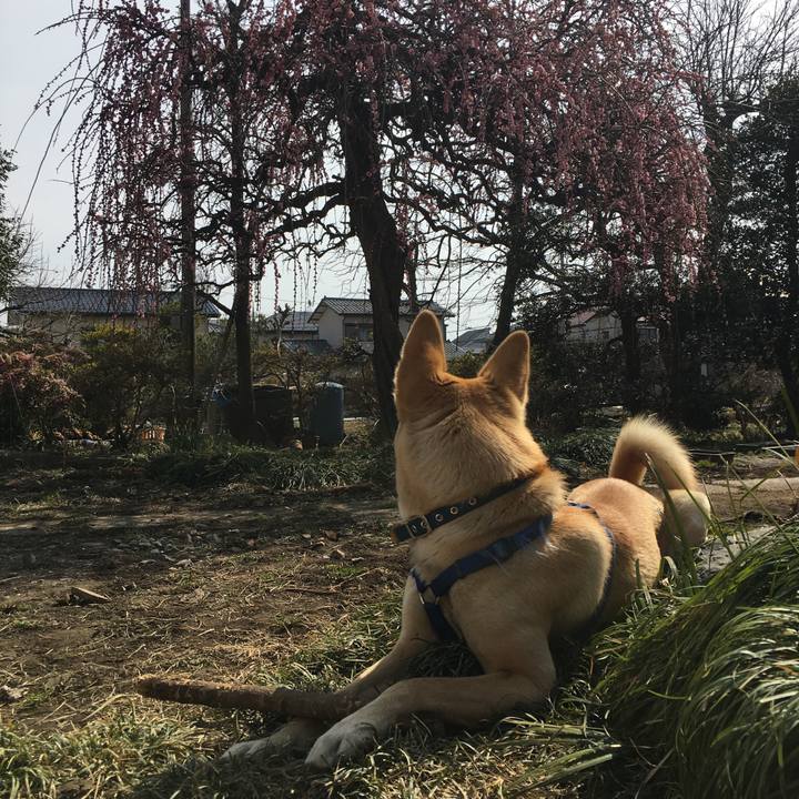 A8540c6d df44 4b77 9815 a9ccdbc932ea