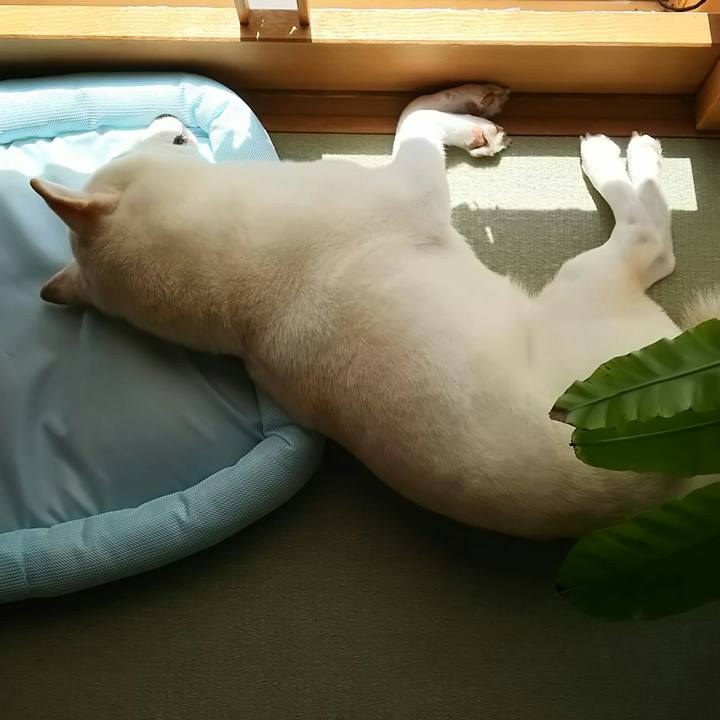 A8542634 e066 45f6 8554 491f88c6fda4