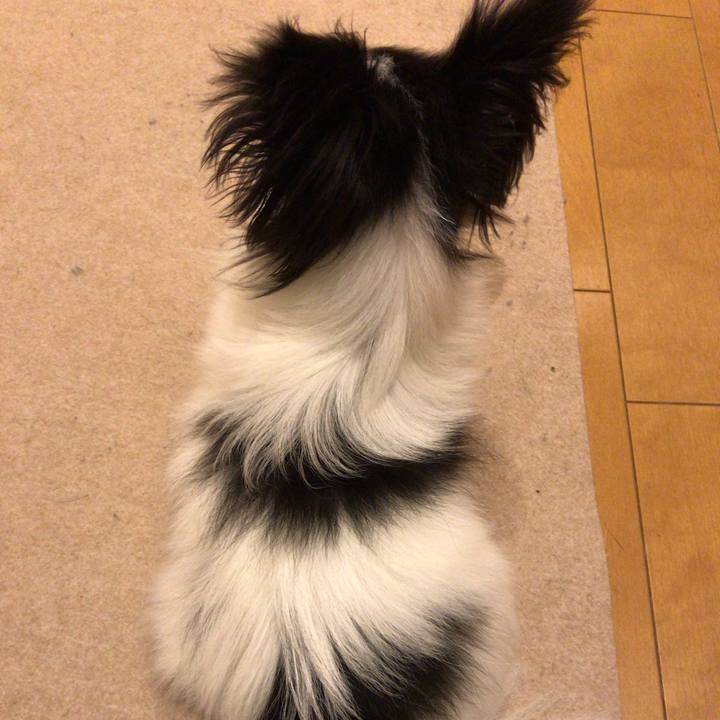 A8552daf 644b 4446 9285 70f957fdbfdb