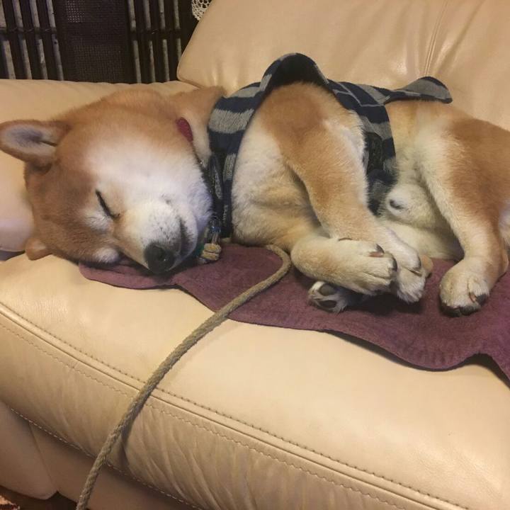 A8558d90 4305 485e acc0 e367ce89e000