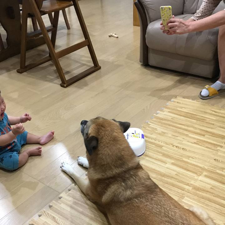 A855ecad dfe2 4824 9dc5 ababbcd0c4c4