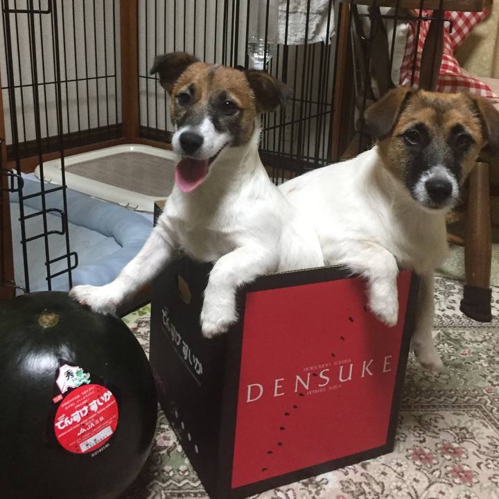 A856d195 318e 4ebf 8637 a154553252b0