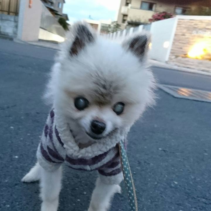 A8576b51 22dc 4c0b 8c95 9b87505d8bd9