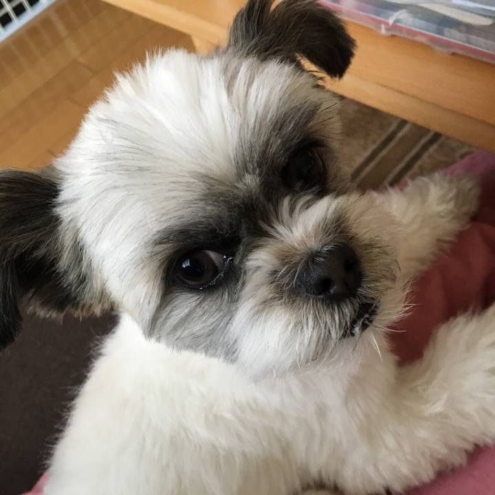 A858221e a0b5 4835 86f2 eeb02be8ec6d