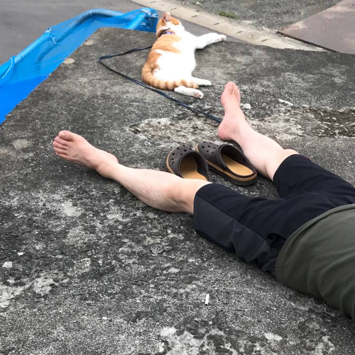 A8596a4e ee19 43ef 8b62 b2d2b93f2acb