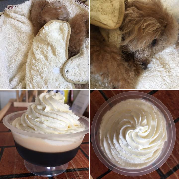 A8599ebf aa60 4844 9bbb ebe1440f49d1