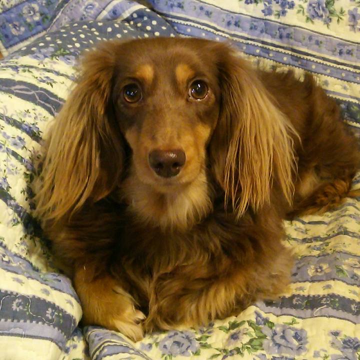 A85a0fa4 7a28 44b2 a8bf 0f5540783078