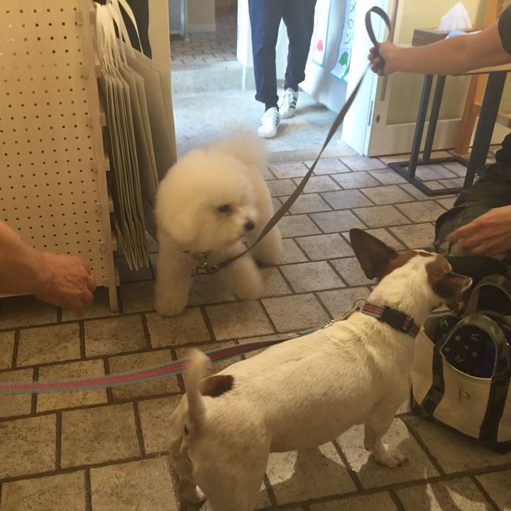 A85abd9c 165e 4ce7 9ae0 cf0f860c5c1b