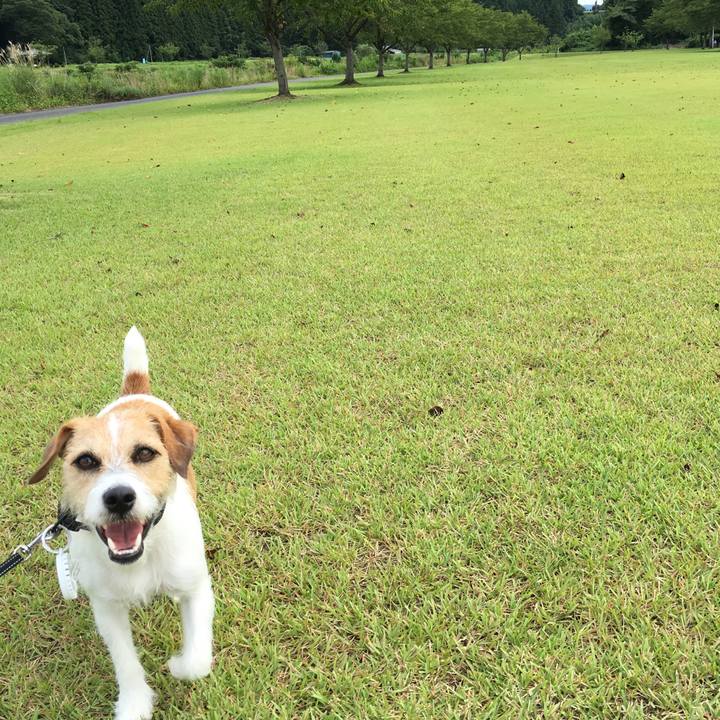 A85ac3d6 07b4 4eef a2ac 10577993e05a