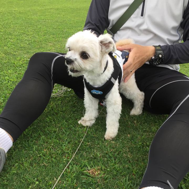 A85b891b a8df 4235 aab5 c919883a66ac