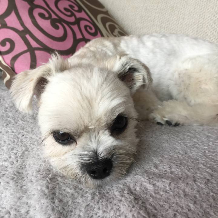 A85bc80f 3859 4021 89cc 32161357e3a5