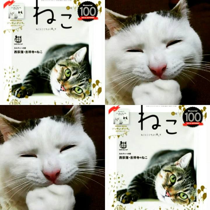 A85caa68 de06 4dc7 9aa2 14e166d47f17