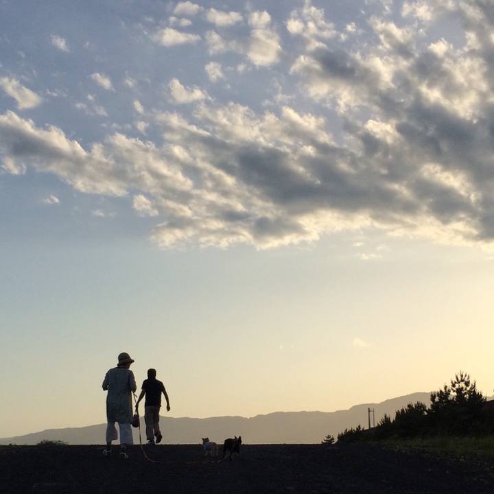 A85cc480 5e91 4c07 a3ed f12fa4a3b71b