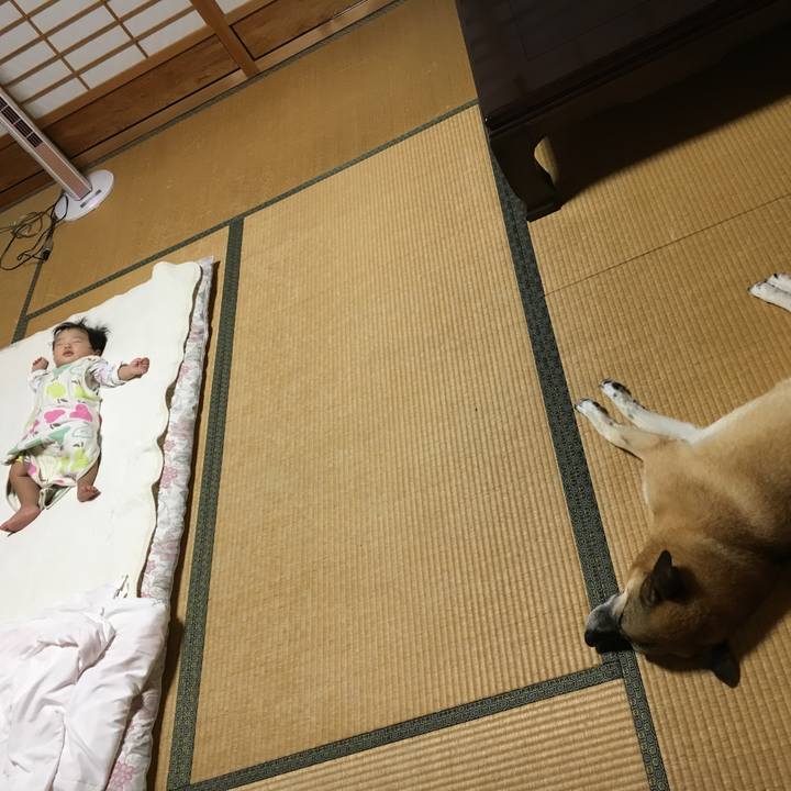 A85ce4f2 af66 4b7d 9292 ad2f8a72bf2e