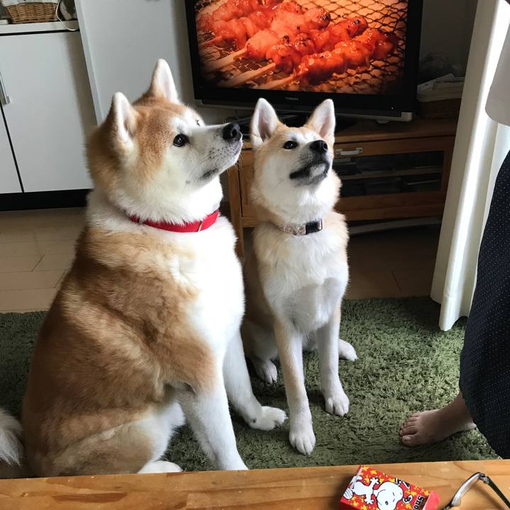 A85d189c 8eec 4b89 8e9a 27a1ee27b8f5