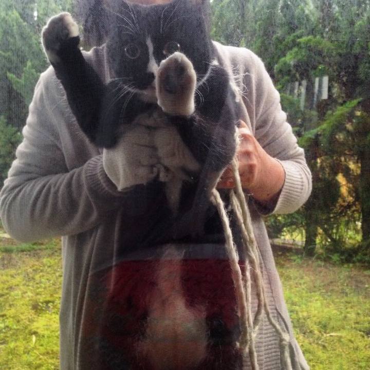 A85e1aec 03a3 4625 8367 c16e65853871