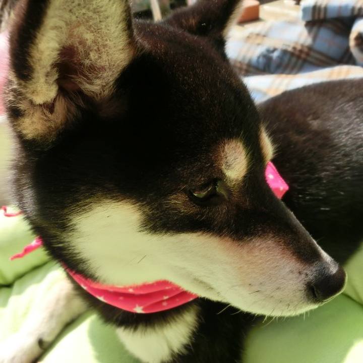 A85e1f23 e857 43b8 b057 362804819dd7