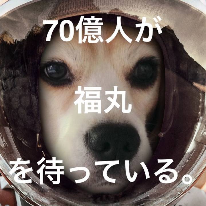 A85e8d20 2d49 4148 a0a7 234eb2e6d9b7