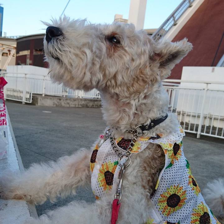 A85e8d61 eaae 4e0a 9ed6 10398da9c803