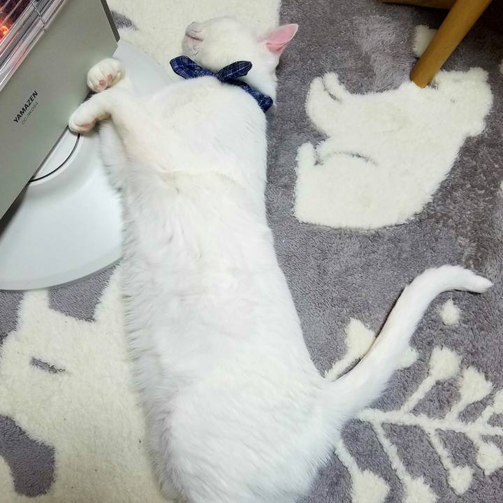 A85fa2f5 8539 43fb 9d31 fe6f25248aec