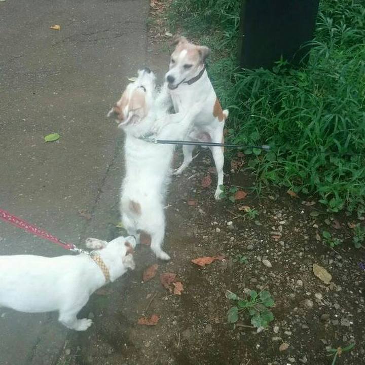 A85ff820 f2a3 4613 ba07 70f371eea999