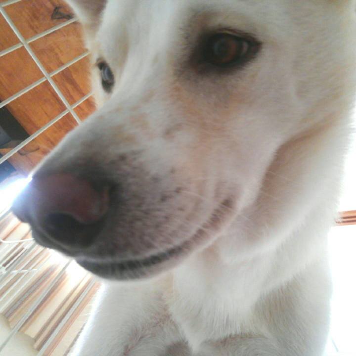 A8606722 a4fe 4607 9e3d ffdadbbc49b8