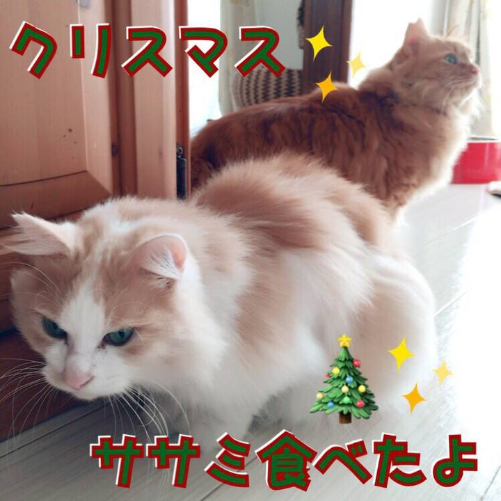 A86078c6 99b1 4211 ae74 52db0c36503c