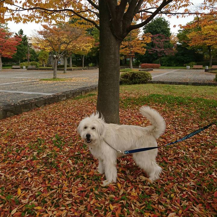 A86108bd fd7c 49d2 85c3 09feee65370e