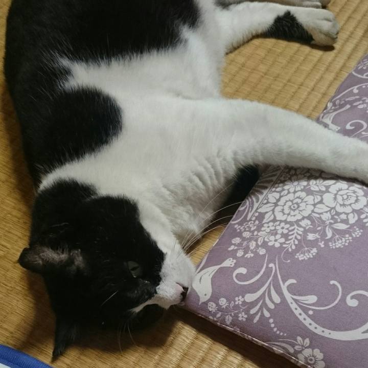 A8618478 b7a2 4473 b36c 23edeb96a65d