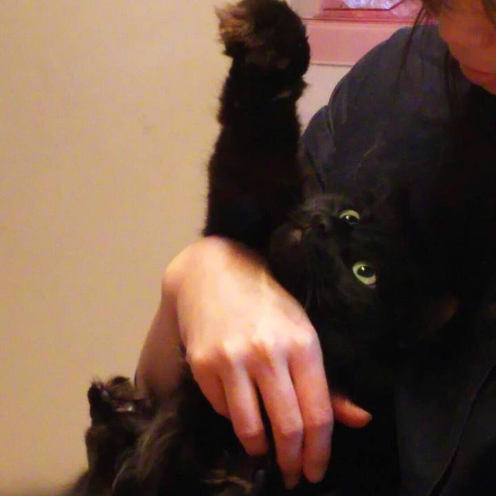 A8618742 4641 4e8d b4fd 40557f0c423a